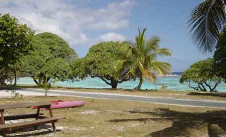sur la plage de Yédjélé, devant chez Céline