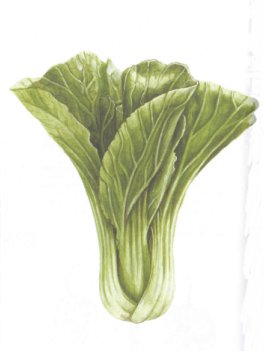chouchine