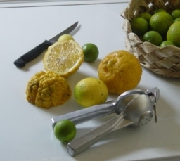Vous remarquez ce petit appareil posé à côté des citrons, et vous vous demandez ce que c'est. Il vient de Tahiti, il ressemble à un dénoyauteur, mais ce n'en est pas un.
En fait, c'est un presse citron.