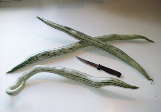 haricots serpents